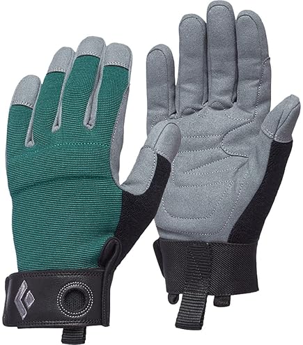 Amazon | Black Diamond Crag Belaying用フルフィンガーロック
